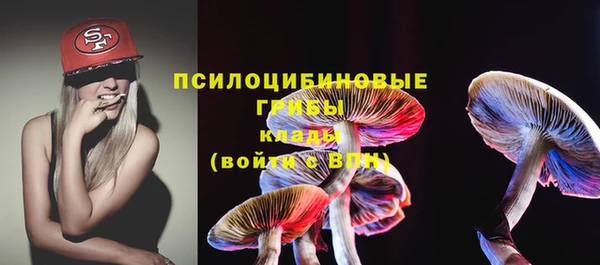 jwh Ладушкин